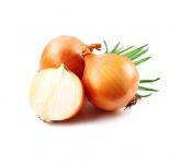 Лук репчатый