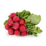 Редиска в упаковке 500 гр