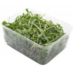 Руккола в упаковке 125 гр
