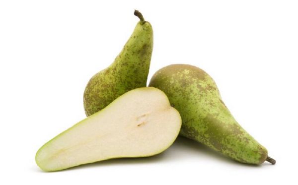 Груша Конференция